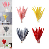 15 Pieces Dried Pampas Grass Flowers Arrangement Decor Gift Pampas Grass