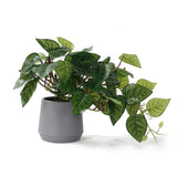 Fake Pothos in Pots,Realistic Devil's Ivy Plant,Potted Plant Indoor Faux Plan... Green Plant