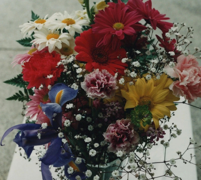 Colorful Flower Bouquet Daisies Carnations Iris Roses Baby's Breath Arrangement Carnation