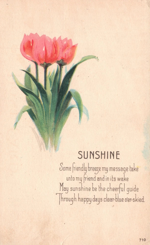 Vintage lily postcard with pink flowers and 'Sunshine' quote text