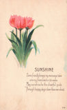 1921 Sunshine Lilies Beautiful Flower Inspirational Quotes Wish Vintage Postcard Lily