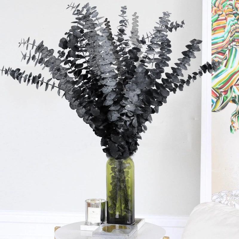 Preserved eucalyptus stems, black foliage with slender stems in glass vase
