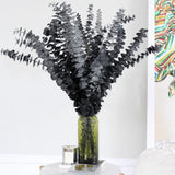 15pcs Real Black Eucalyptus Stems - Black Flowers and 17 Inch Preserved Natur... Dried Flower