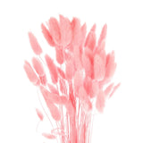 50pcs Natural Bunny Tail Dried Flowers 18" Mini Pampas Grass, Pink Dried Flower