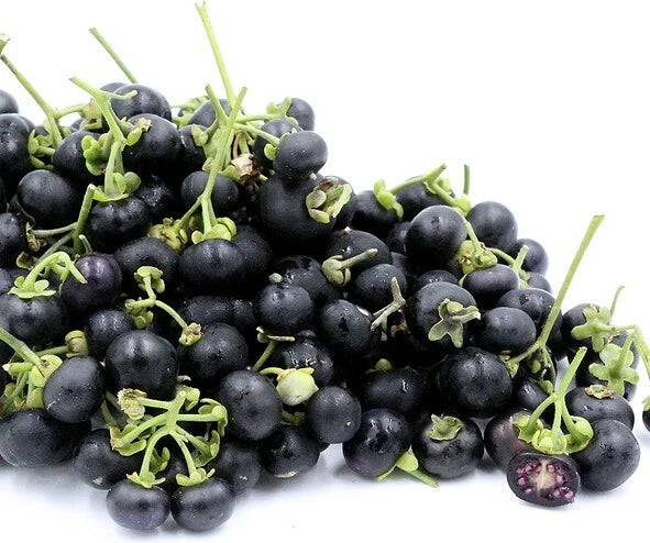 Wonderberry Seeds ~Solanum retroflexum (Burbankii)~ Sunberry~ Garden Huckleberry Garden Plants