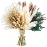 xin's convey 100 PCS Pampas Grass (Vase Not Included), Dried Flowers Bouquets... Pampas Grass