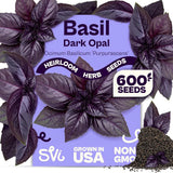 600 Dark Opal Basil Seeds (Ocimum Basilicum) Ð Purple Sweet Basil Seed Packets Ð Garden Plants