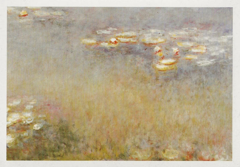 Postcard Claude Monet Water Lilies (Agapanthus) 1916 St Louis Museum Art NrMNT Lily