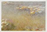 Postcard Claude Monet Water Lilies (Agapanthus) 1916 St Louis Museum Art NrMNT Lily