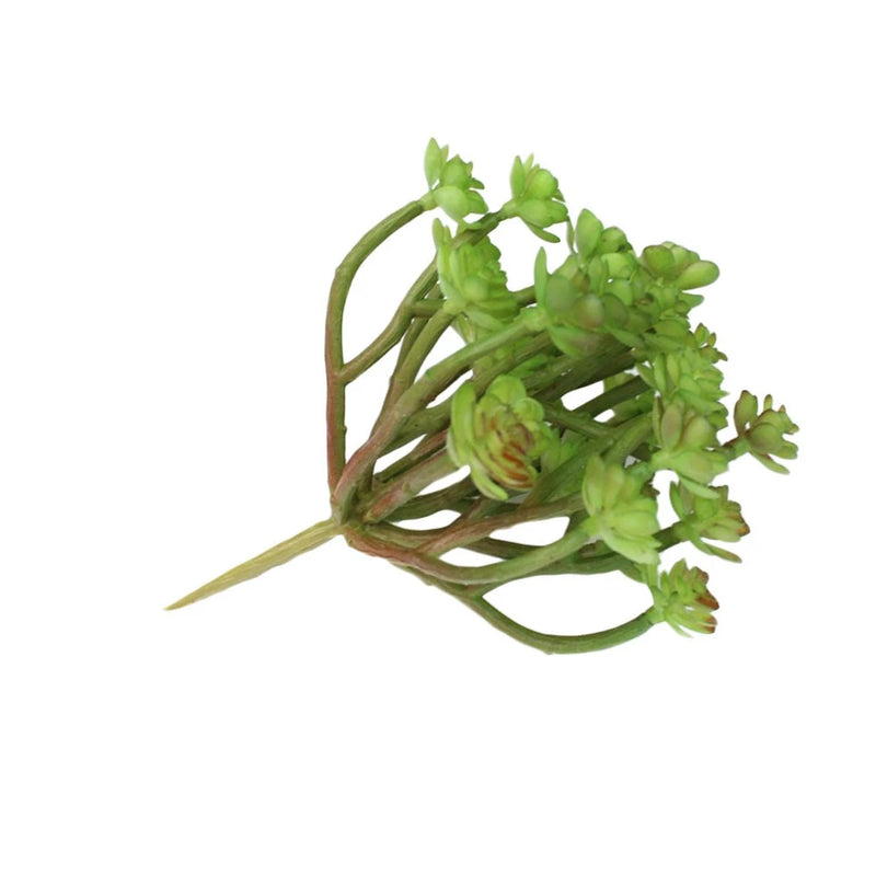 Artificial succulent plant arrangement with bright green leaves