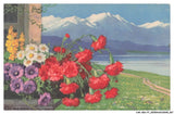 CAR-AEXP7-0387-FANTASIES - Flowers - Carnations - Wagnen Carnation