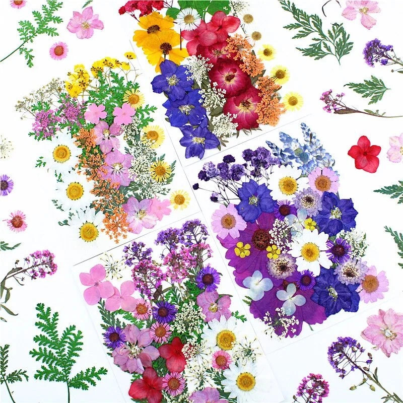 Assorted pressed dried flowers and leaves for resin craft projects