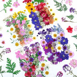 Dried Flower Plant Pressed Flower for Resin Mold Filling DIY Phone Floral Crafts Dried Flower
