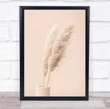 Pampas Grass Begie 13 Dried Botanical Studio Wall Art Print Pampas Grass