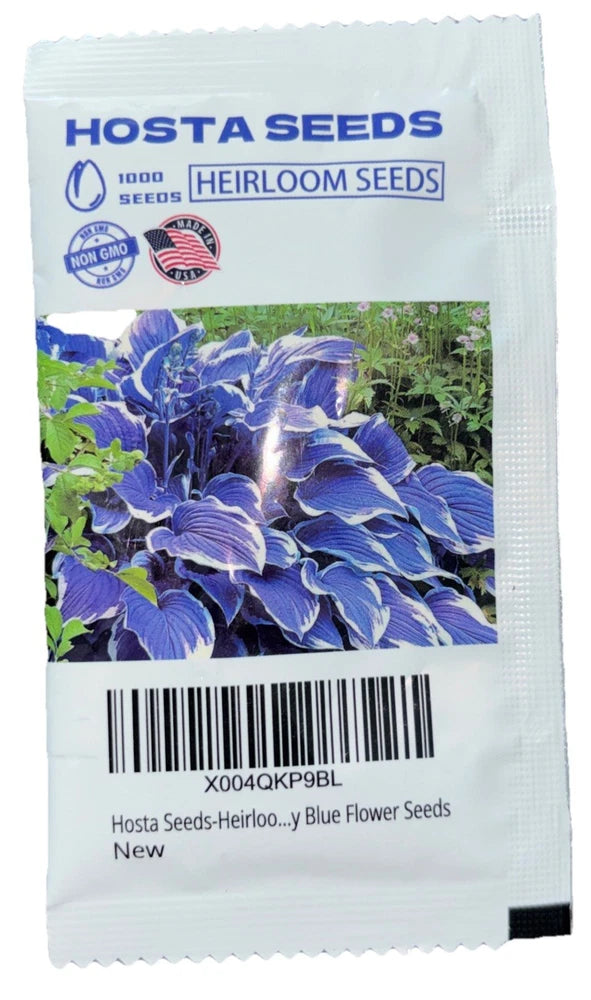 1000 Heirloom Seeds BLUE HOSTA NON GMO Garden Perennials ZONE 3-9 Spring Plant Garden Plants