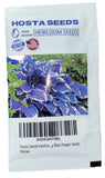 1000 Heirloom Seeds BLUE HOSTA NON GMO Garden Perennials ZONE 3-9 Spring Plant Garden Plants