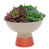 Flora Bunda Artificial Plants in Two-Tone Bowl Ceramic Pot,Beige/Orange/Cream Green Plant