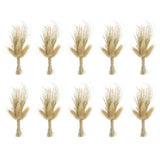 10 Pcs Mini Pampas Grass Dried Flower Bouquet Baby's Breath Boho DIY Gift Brown Pampas Grass