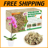 Natural Succulent Carnivorous Plant Moss - 2.2LBS Orchids