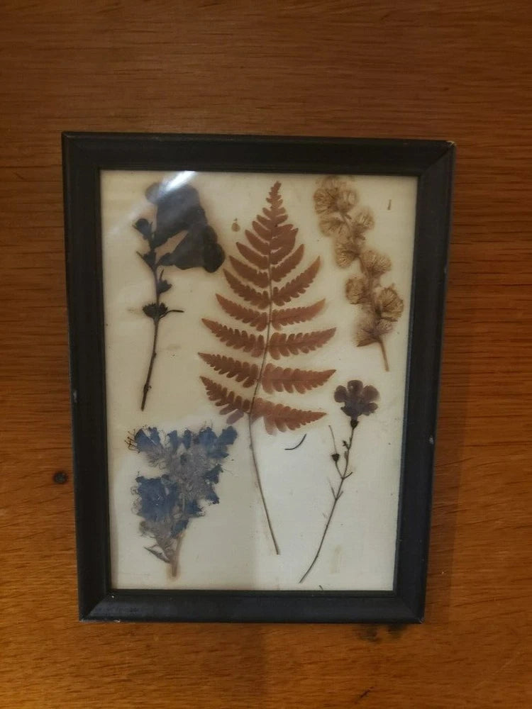 Framed glass wall hanging with pressed dried ferns and wildflowers on cream background