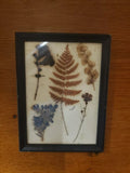 Vintage Framed Dried Pressed Flowers Under Glass Wall Hanging Decor Dried Flower