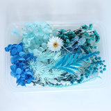 Flower Material Christmas DIY Fan Preserved Aromatherapy Hydrangea Tail Rabbit Hydrangea