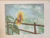 Sunflower Fence, 8Óx10Ó print, 11Óx14Ómatted, from my original watercolor Sunflower