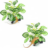 2 Pcs Reptile Artificial Plants, Terrarium Plants Decorations Supplies, Amphibia Green Plant
