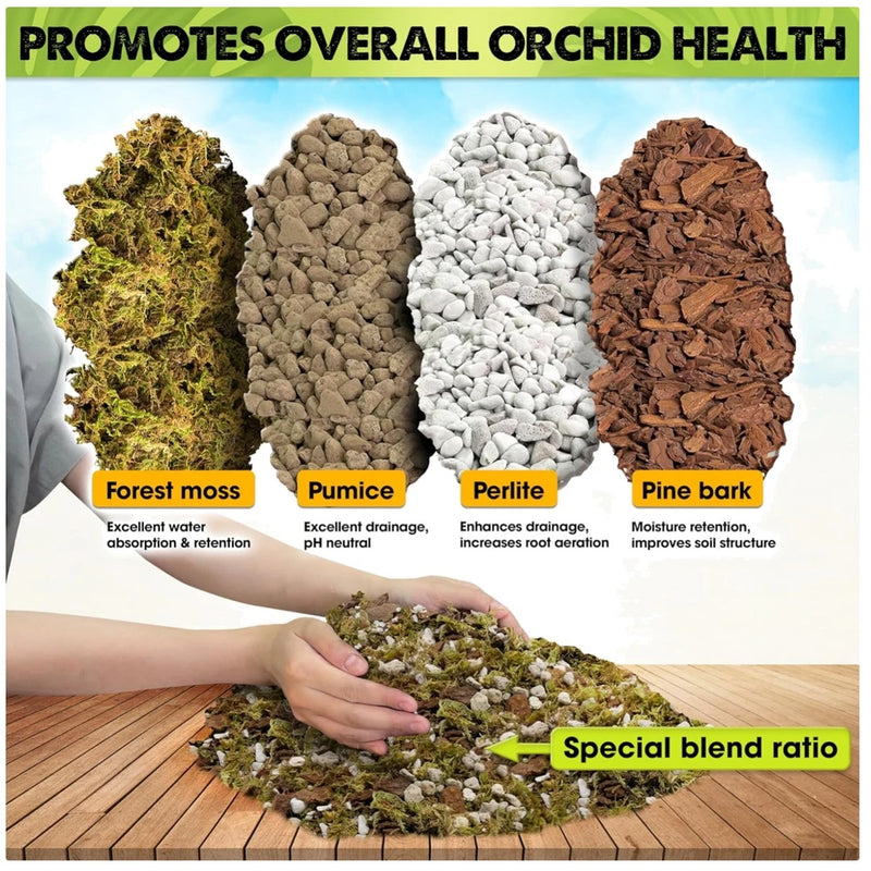 Orchid potting mix with moss, pumice, perlite, and pine bark in hand