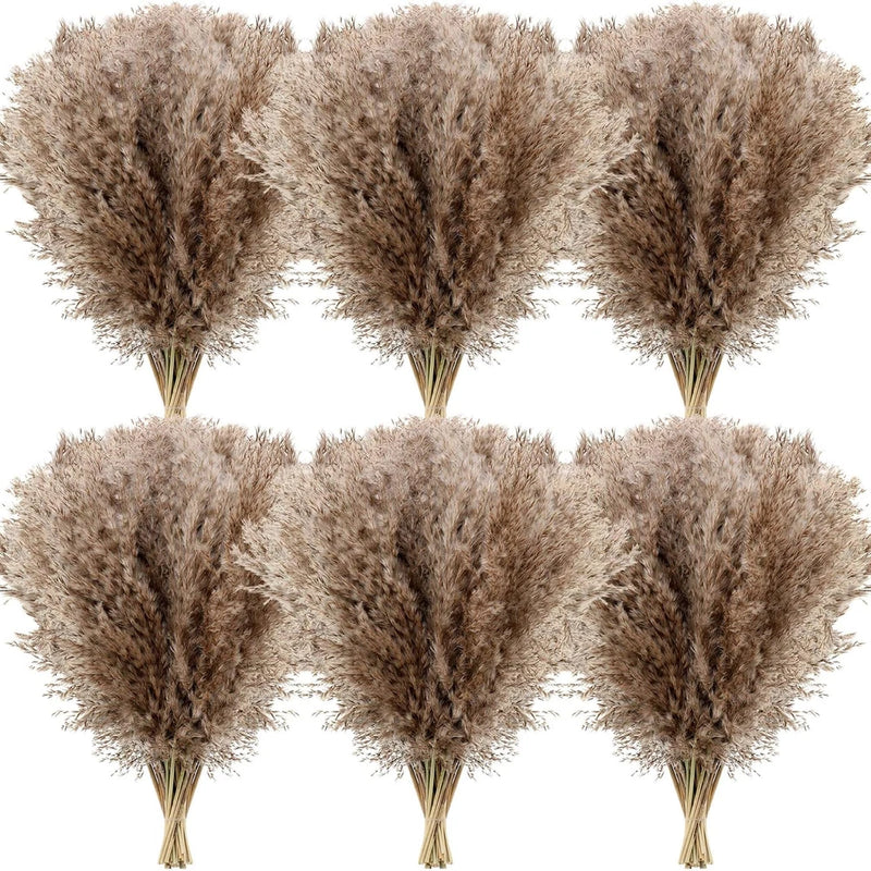 Dried Pampas Grass Decor 17 Inch Bulk Natural Small Pompous Wild Fluffy Pampas F Pampas Grass