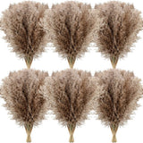 Dried Pampas Grass Decor 17 Inch Bulk Natural Small Pompous Wild Fluffy Pampas F Pampas Grass