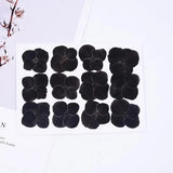 12PCS real dried Pressed Hydrangea Flower, Dyed Black color Flower FCD68 Hydrangea