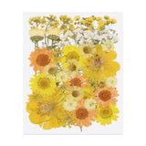 40 Pcs Dried Pressed Flower Leaves Bulk for Resin, Light Yellow Dried Flower