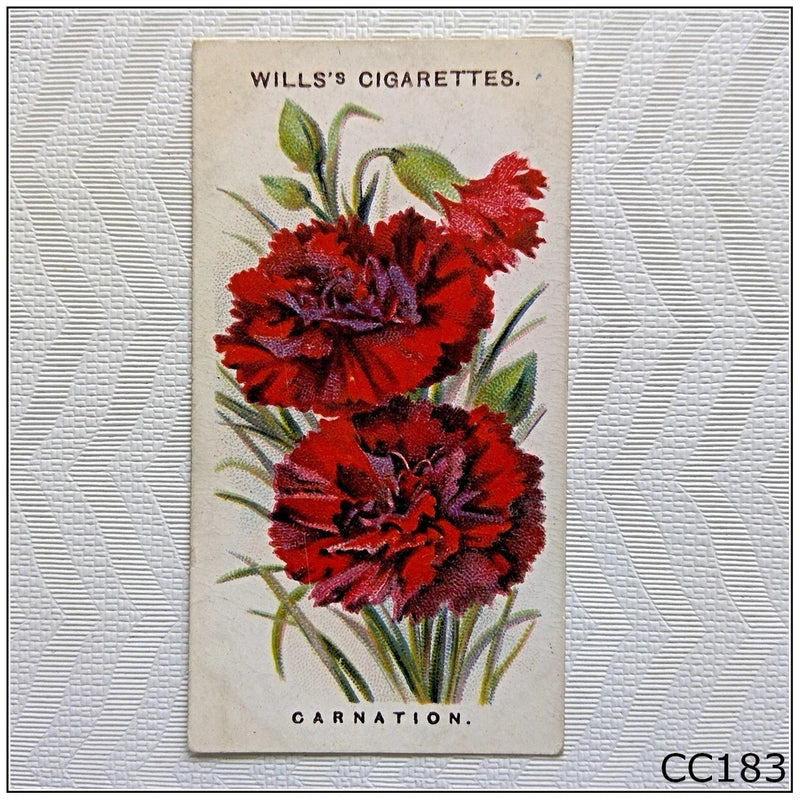 Wills Old English Garden Flowers #27 Carnation Cigarette Card (CC183) Carnation