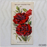 Wills Old English Garden Flowers #27 Carnation Cigarette Card (CC183) Carnation