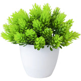 Compact Artificial Succulent in Plastic Pot for Desk Decor Lightweight 59g Green Plant
