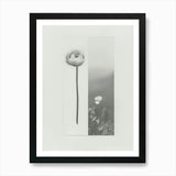 Ranunculus Flower Photo Collage 3 A Framed Wall Art Poster Canvas Print Picture Ranunculus