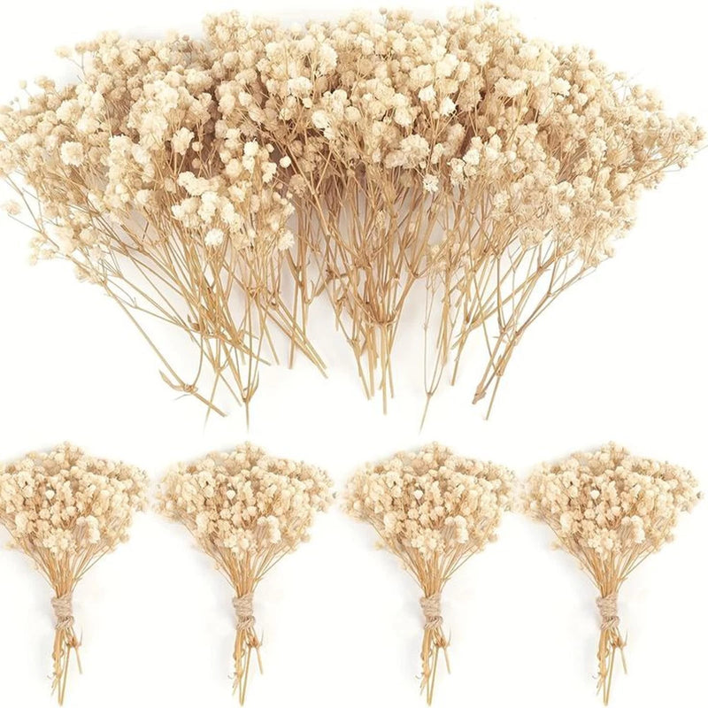 Mini dried baby breath (gypsophila) flowers in ivory white, small bundle set