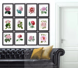 Pink Peonies hydrangea flower botanical illustrations set of 12 wall Hanging Hydrangea