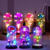 Eternal Forever Galaxy Rose Flower In Glass Dome LED Light Gift for Mother's Day Roses