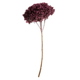 15" Purple Orchid Hydrangea Stem Hydrangea