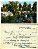Boating in Westlake Park Los Angeles California CA parasol pampas grass 1920s Pampas Grass