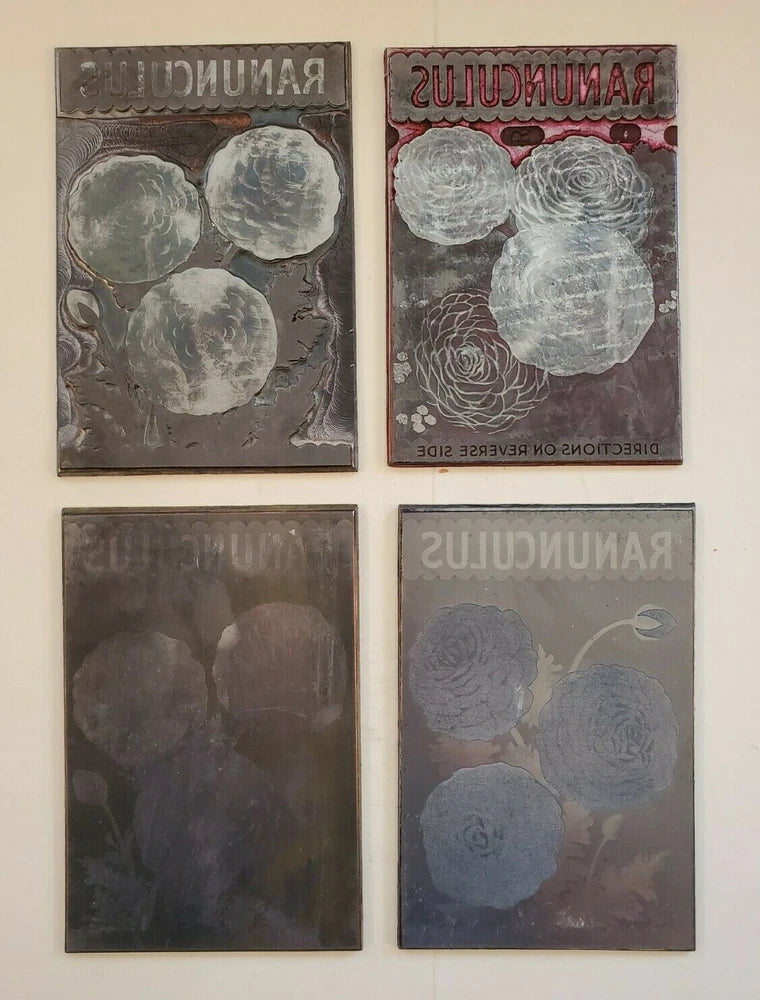 (4) Etching Engraved Metal Printing Machine Press Plate Stamp ~ Ranunculus Ranunculus