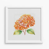 Framed Orange Hydrangea Art Print 12x12" White Wooden Frame Watercolor Style NEW Hydrangea