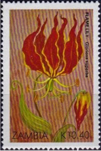 Zambia #SG605 MNH 1989 Flowers Flame Lily [483] Lily