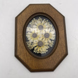 Vintage 70s Pressed Dried Sunflower Flower Art Wood Frame 6Óx4.5Ó A11 Dried Flower