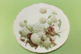 Vintage Rosenthal Bavaria Versailles Porcelain Hydrangea Flower 9 in Plate Hydrangea