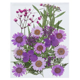 Dried Pressed Flowers Assorted Natural Leave Real Pressed Flowers Assorted Color Dried Flower