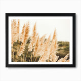 Pampas Grass Art Print Framed Wall Art Poster Canvas Print Picture Pampas Grass