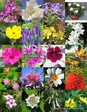 FLOWERING GARDEN PLANTS MIX rare flower blooming fragrant backyard seed 15 seeds Garden Plants